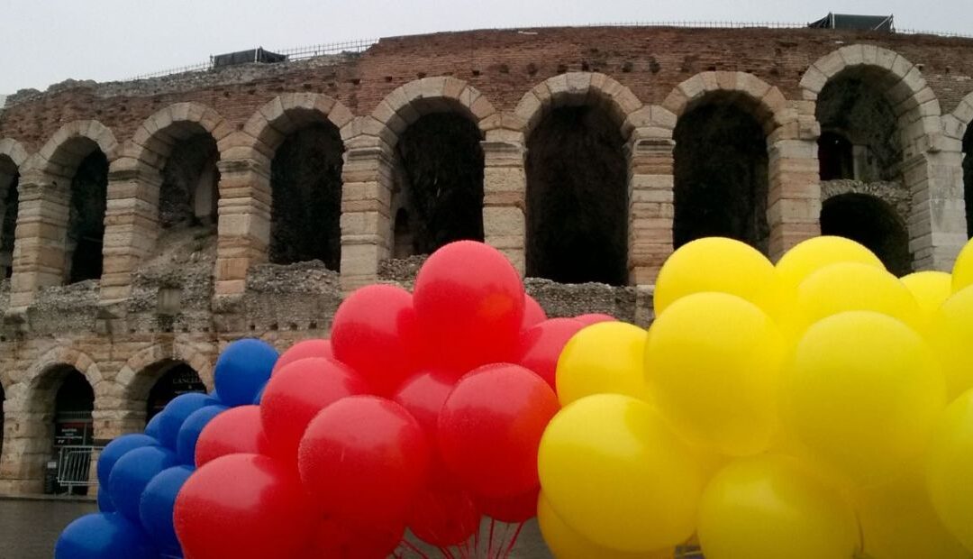 Festa del Volontariato (2017)